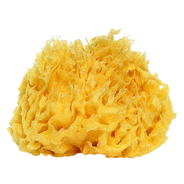 Éponge de bain 10cm éponge de mer naturelle bio grande  éponge de douche nid d'abeille haute qualité durable exfoliante de bain